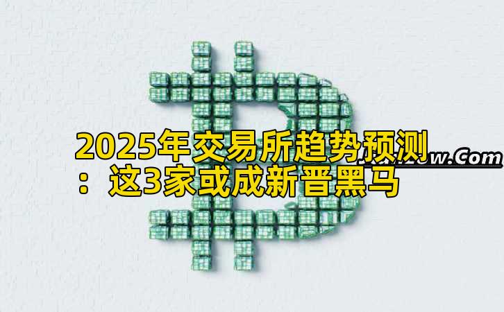 2025年交易所趋势预测：这3家或成新晋黑马