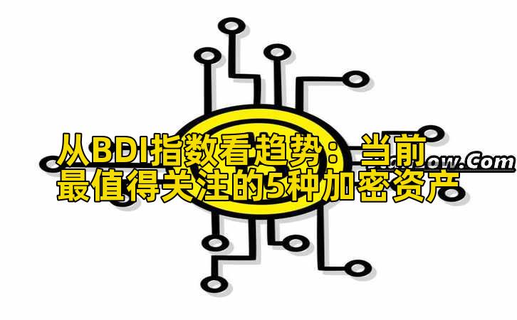 从BDI指数看趋势：当前最值得关注的5种加密资产