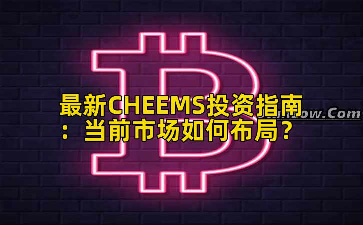 最新CHEEMS投资指南：当前市场如何布局？