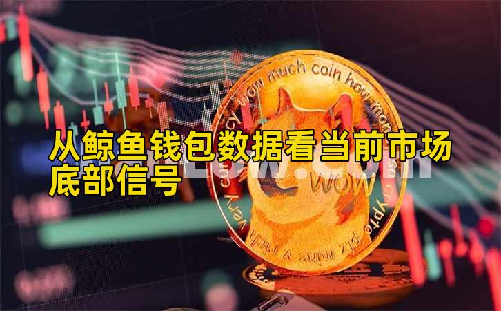 从鲸鱼钱包数据看当前市场底部信号