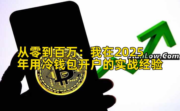 从零到百万：我在2025年用冷钱包开户的实战经验