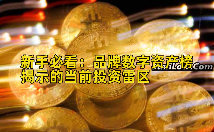 新手必看:品牌数字资产榜揭示的当前投资雷区