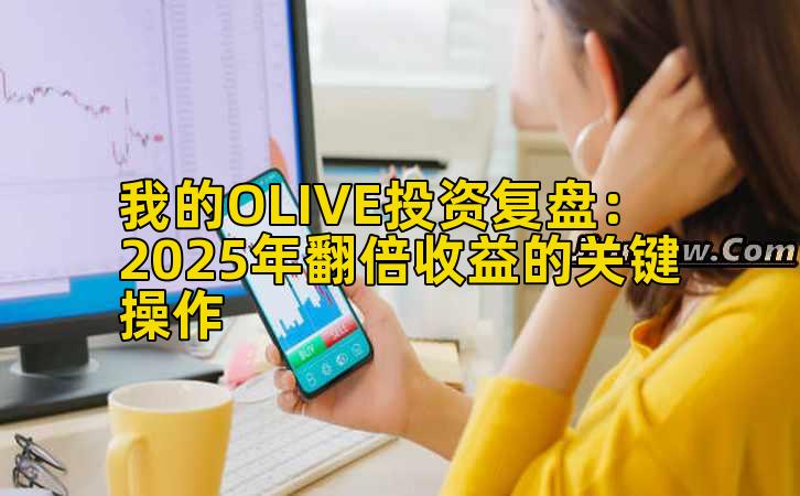 我的OLIVE投资复盘:2025年收益增长收益的关键操作