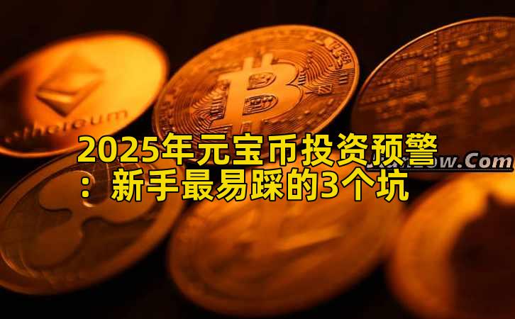 2025年元宝币投资预警：新手最易踩的3个坑