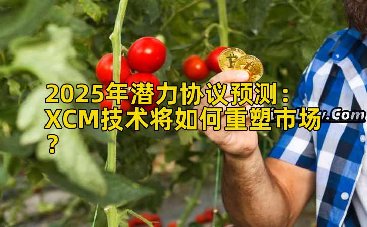 2025年潜力协议预测：XCM技术将如何重塑市场？