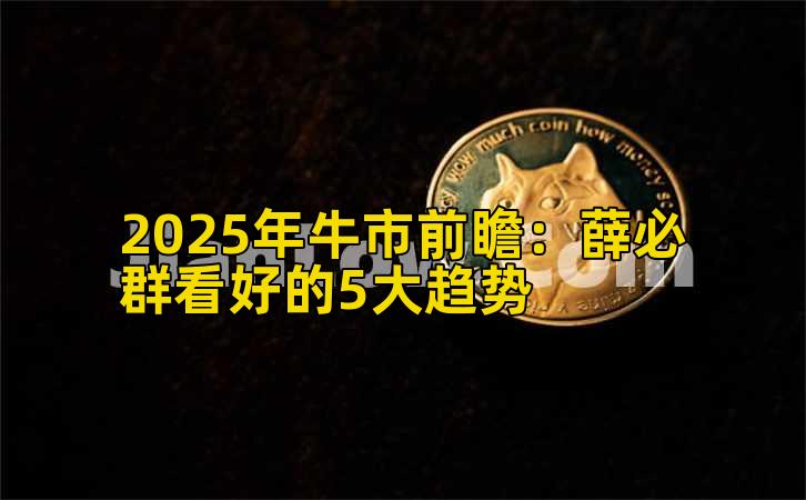 2025年牛市前瞻：薛必群看好的5大趋势