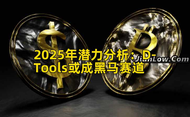 2025年潜力分析：D-Tools或成黑马赛道