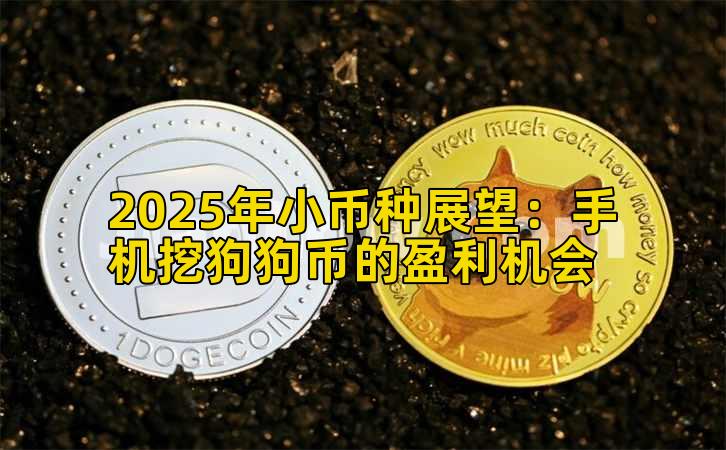 2025年小币种展望：手机挖狗狗币的盈利机会