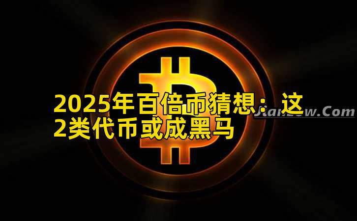 2025年百倍币猜想：这2类代币或成黑马