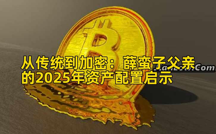 从传统到加密：薛蛮子父亲的2025年资产配置启示