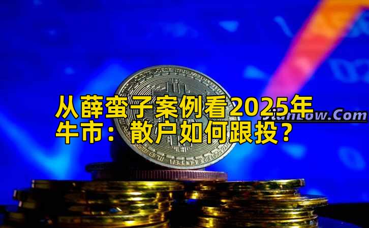 从薛蛮子案例看2025年牛市：散户如何跟投？