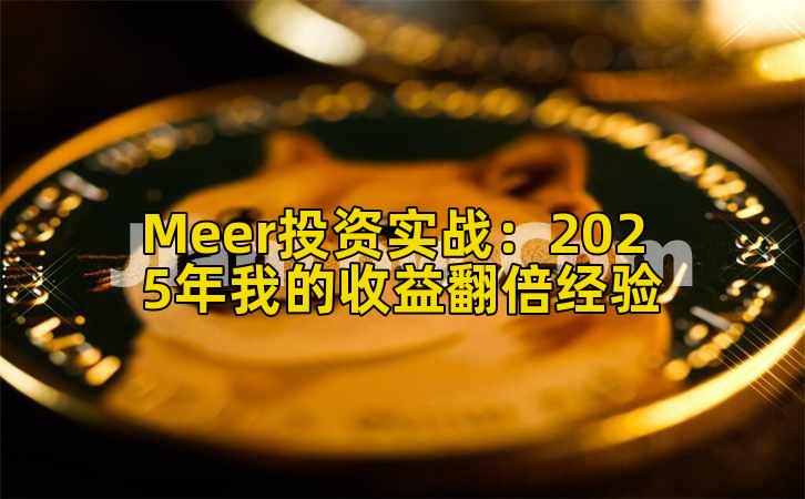 Meer投资实战:2025年我的收益翻倍经验