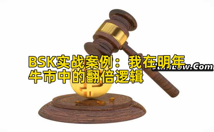 BSK实战案例:我在明年牛市中的翻倍逻辑