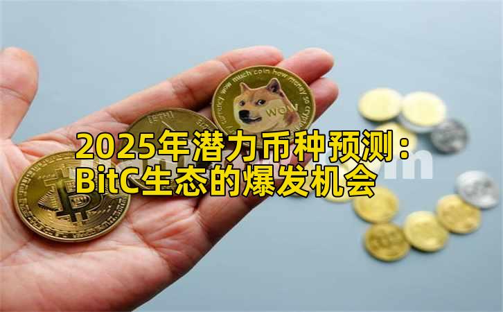 2025年潜力币种预测：BitC生态的爆发机会