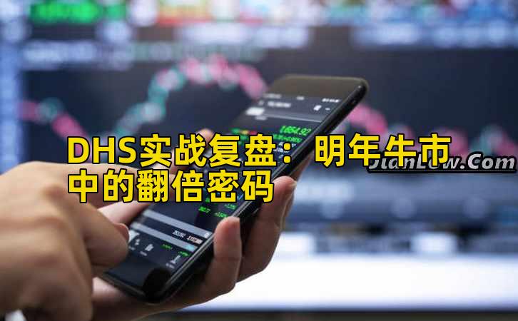 DHS实战复盘:明年牛市中的翻倍密码
