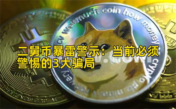 二舅币暴雷警示：当前必须警惕的3大骗局