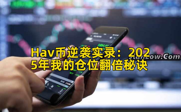 Hav币逆袭实录:2025年我的仓位翻倍秘诀