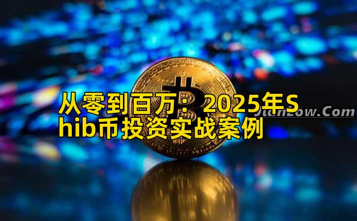 从零到百万：2025年Shib币投资实战案例