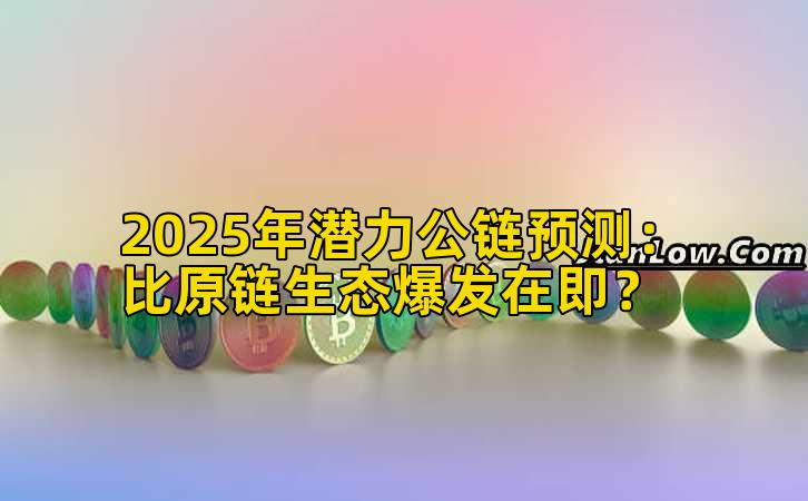 2025年潜力公链预测：比原链生态爆发在即？