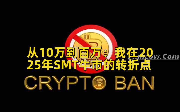 从10万到百万:我在2025年SMT牛市的转折点