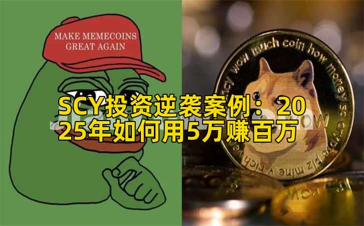 SCY投资逆袭案例：2025年如何用5万赚百万