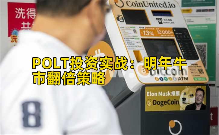 POLT投资实战:明年牛市翻倍策略