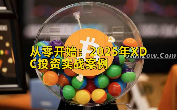 从零开始:2025年XDC投资实战案例