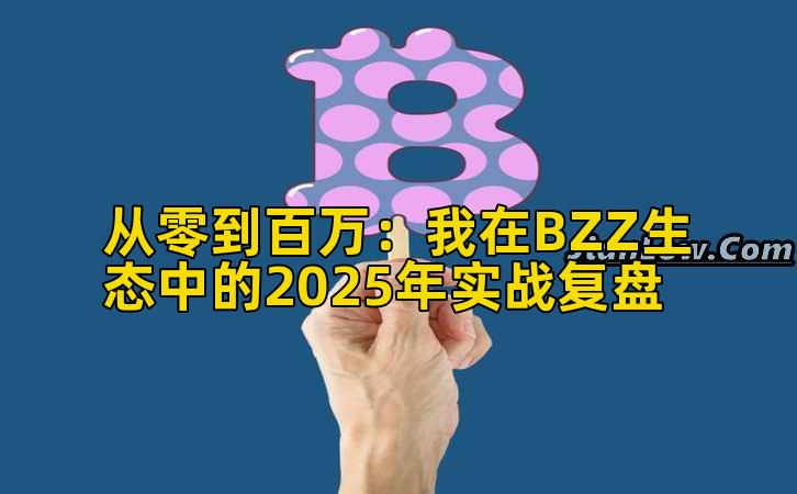 从零到百万：我在BZZ生态中的2025年实战复盘