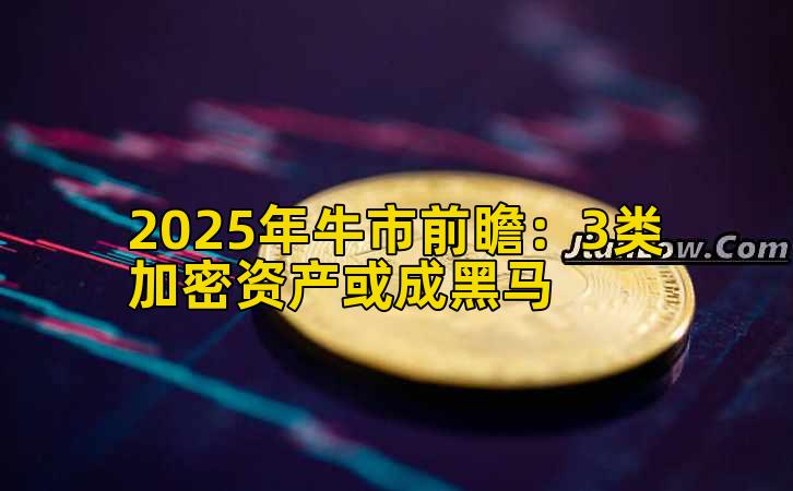 2025年牛市前瞻：3类加密资产或成黑马
