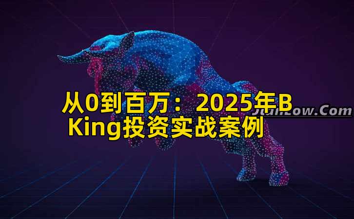从0到百万：2025年B King投资实战案例