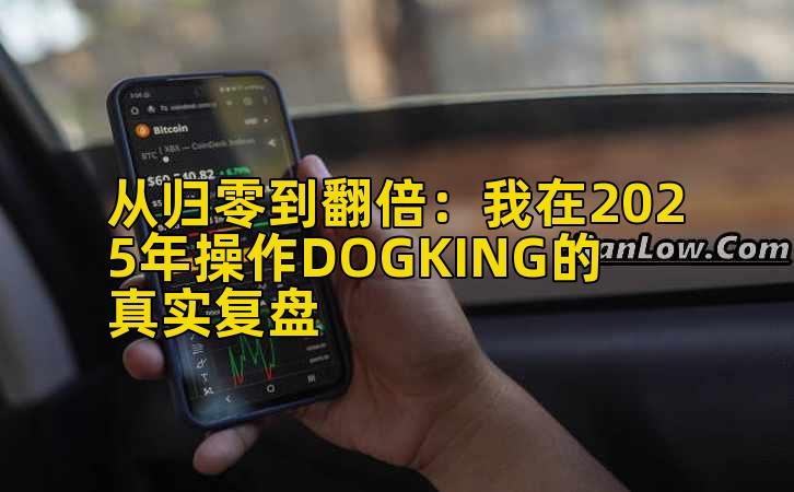 从归零到翻倍:我在2025年操作DOGKING的真实复盘