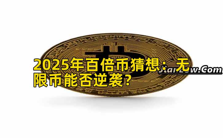 2025年百倍币猜想:无限币能否逆袭?