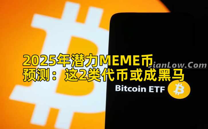 2025年潜力MEME币预测：这2类代币或成黑马