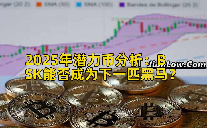 2025年潜力币分析：BSK能否成为下一匹黑马？