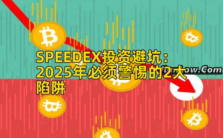 SPEEDEX投资避坑：2025年必须警惕的2大陷阱