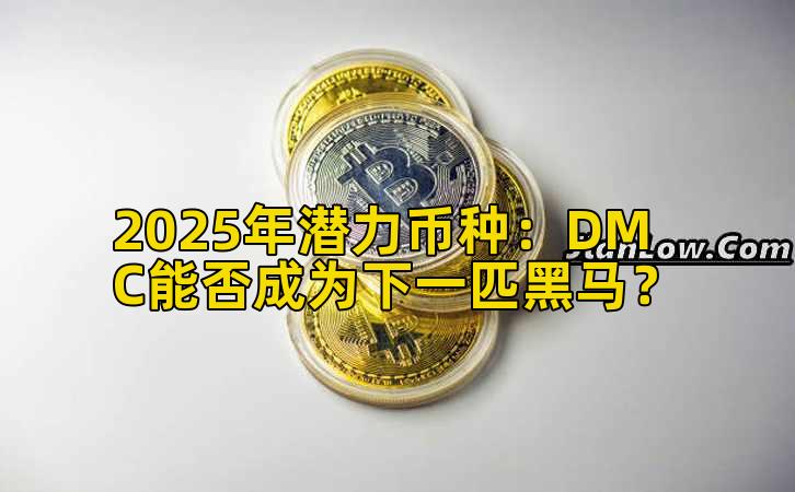 2025年潜力币种：DMC能否成为下一匹黑马？