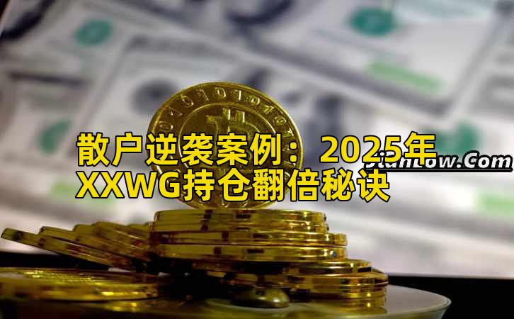 散户实战案例:2025年XXWG持仓收益增长秘诀