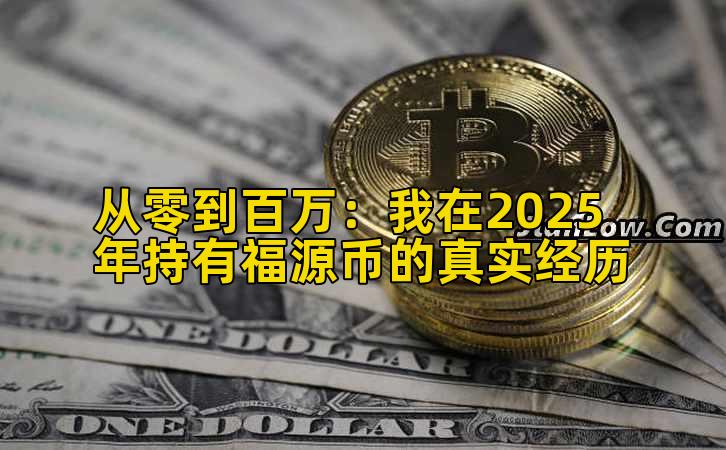 2026年行情分析：我在2025年持有福源币的真实经历