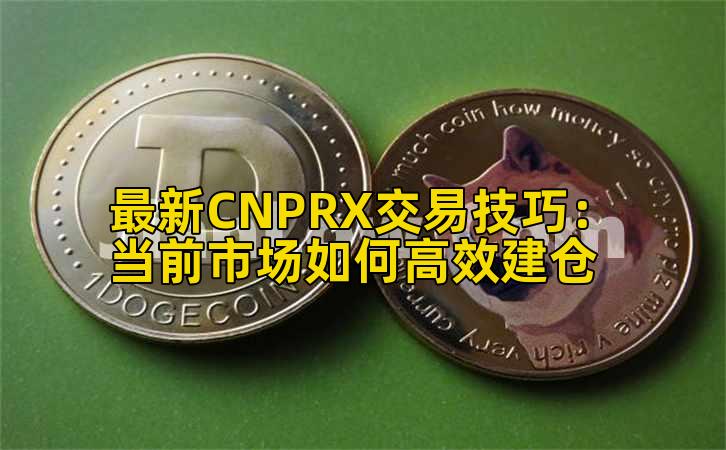 最新CNPRX交易技巧:当前市场如何高效建仓