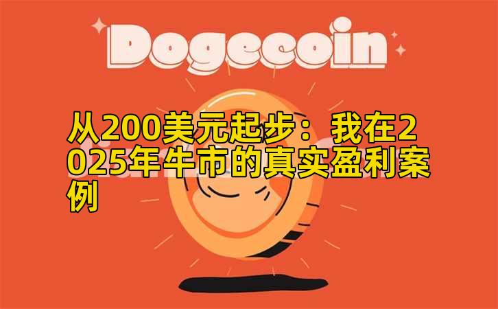 从200美元起步：我在2025年牛市的真实盈利案例
