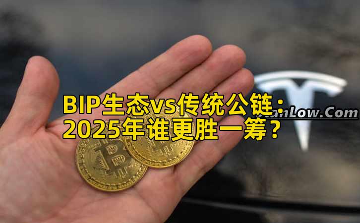 BIP生态vs传统公链：2025年谁更胜一筹？
