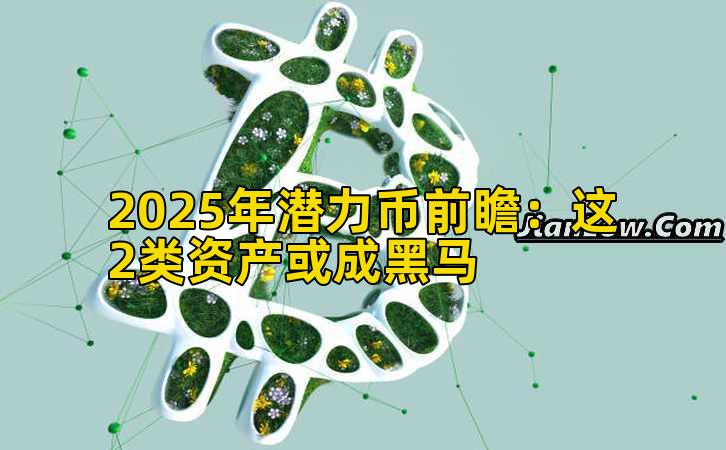 2025年潜力币前瞻：这2类资产或成黑马
