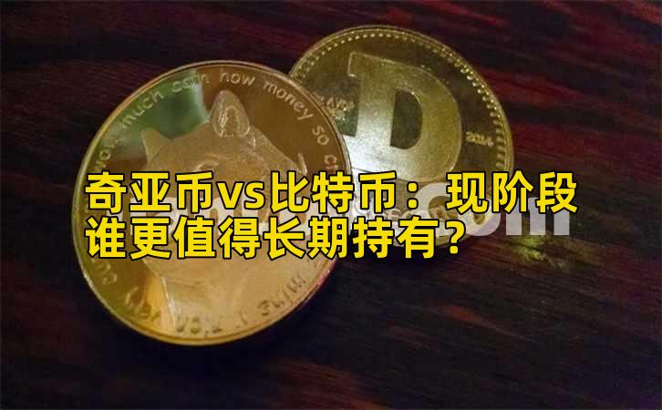 奇亚币vs比特币：现阶段谁更值得长期持有？