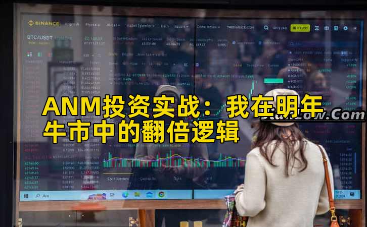 ANM投资实战：我在明年牛市中的翻倍逻辑