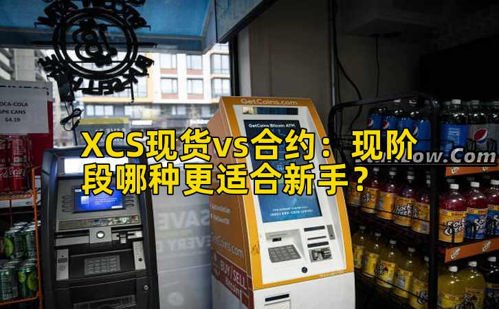 XCS现货vs合约:现阶段哪种更适合新手?