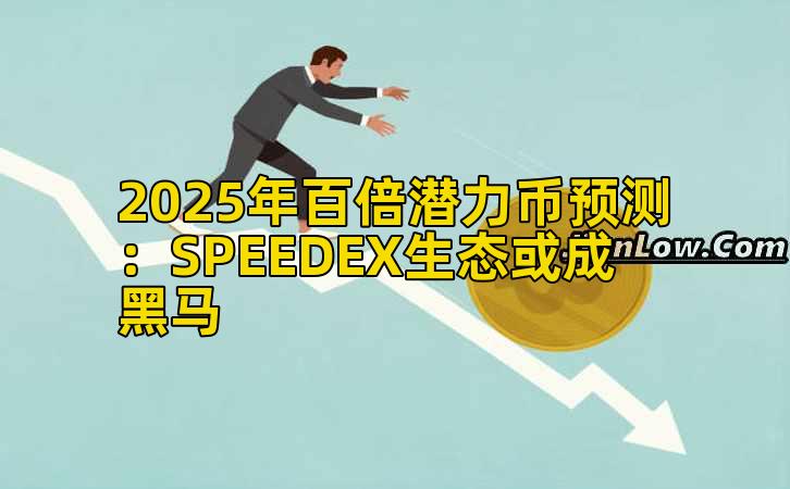 2025年百倍潜力币预测：SPEEDEX生态或成黑马