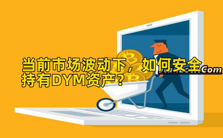 当前市场波动下，如何安全持有DYM资产？