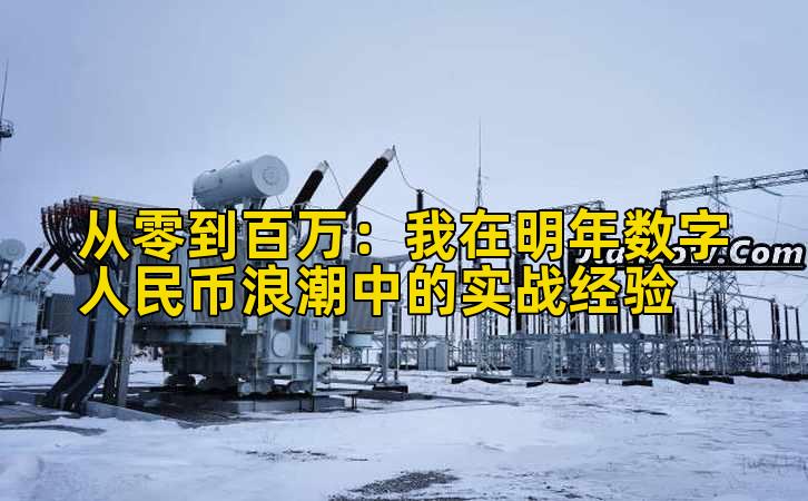 从零到百万：我在明年数字人民币浪潮中的实战经验