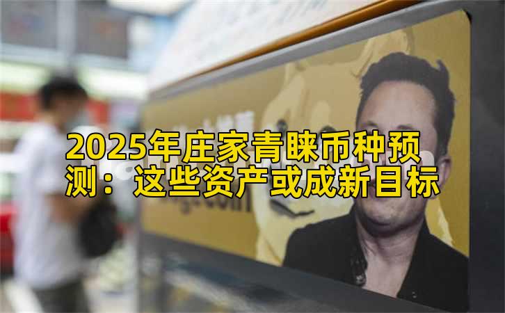 2025年庄家青睐币种预测：这些资产或成新目标
