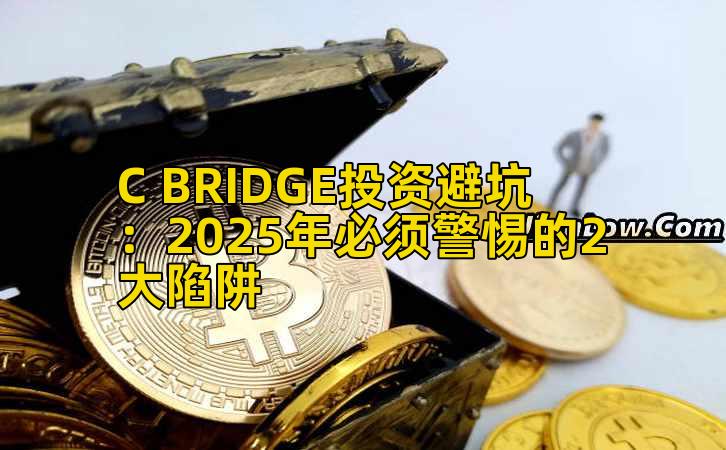 C BRIDGE投资避坑：2025年必须警惕的2大陷阱